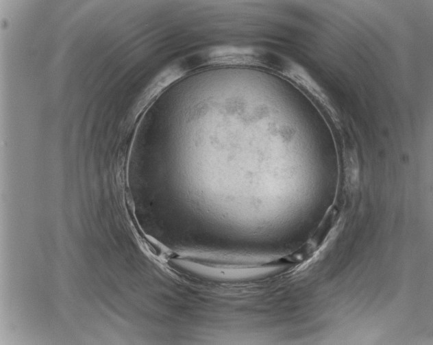 X0000067521049200604101321