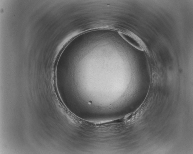 X0000067521051200604101321