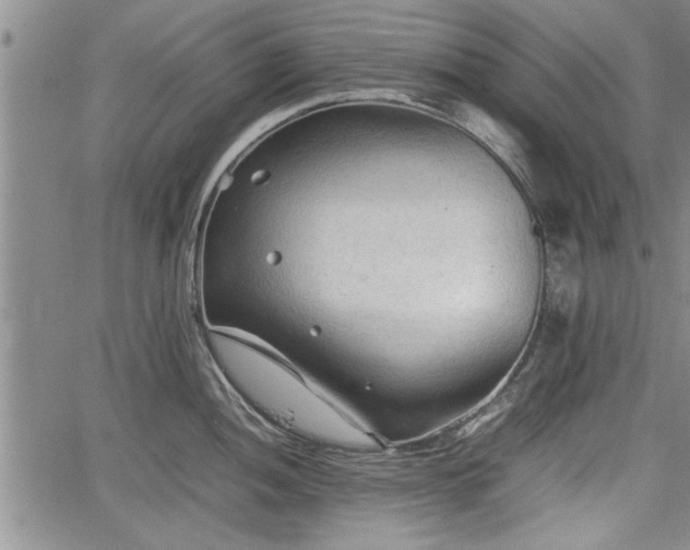 X0000067521052200604101321