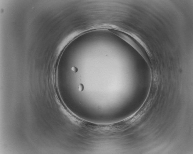 X0000067521054200604101322