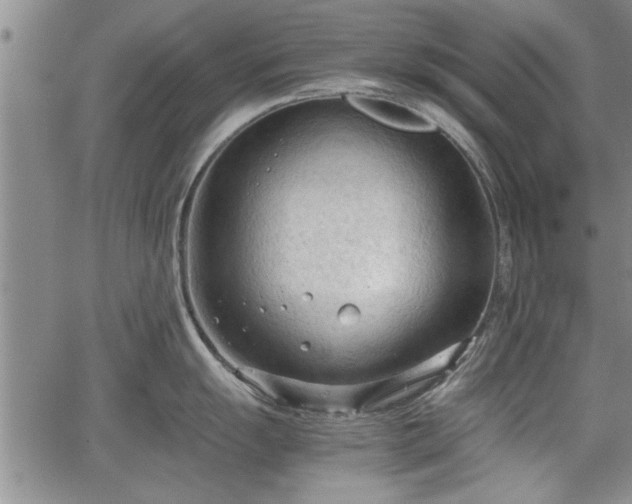 X0000067521055200604101322