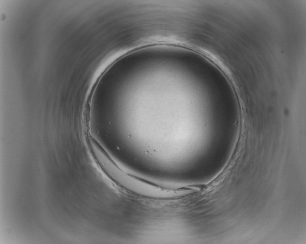 X0000067521056200604101322