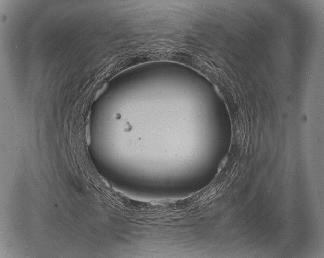 X0000067521057200604101321