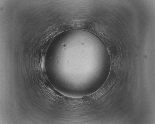 X0000067521058200604101321