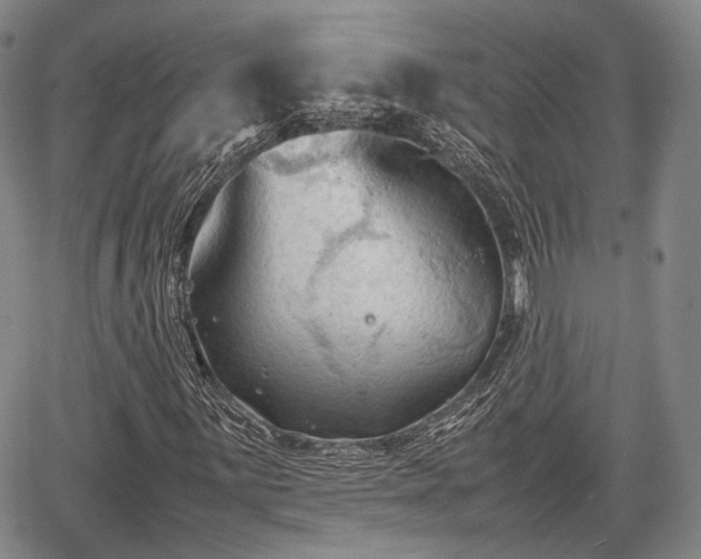 X0000067521059200604101321