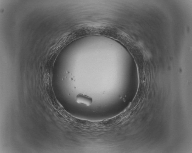 X0000067521061200604101321