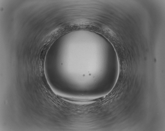 X0000067521062200604101321