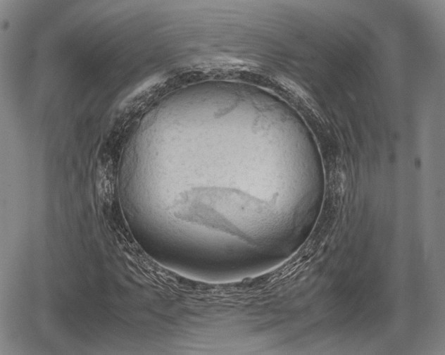 X0000067521063200604101321