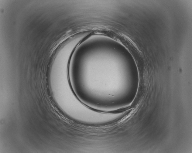 X0000067521065200604101321