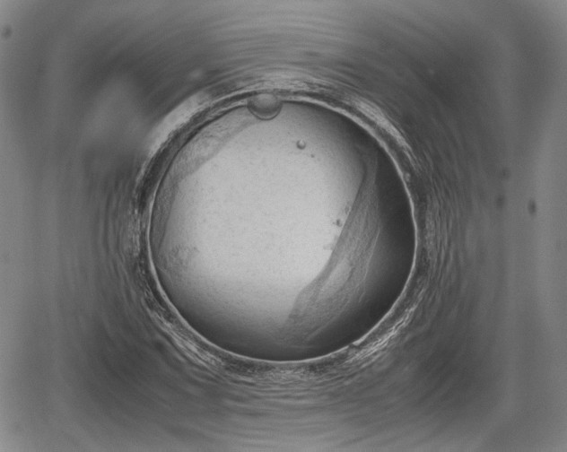 X0000067521067200604101321