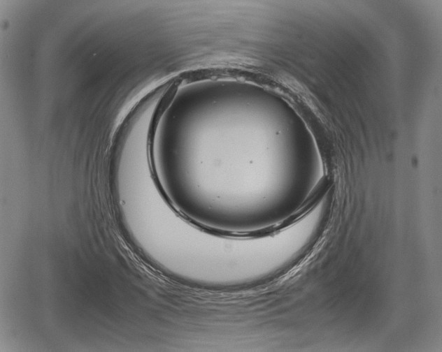 X0000067521069200604101321