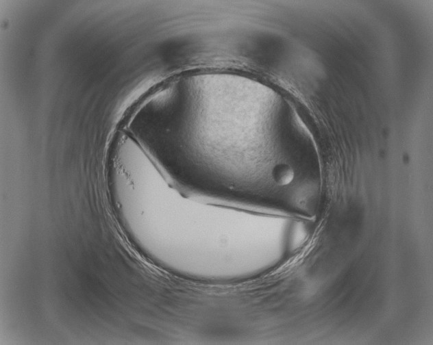 X0000067521071200604101321