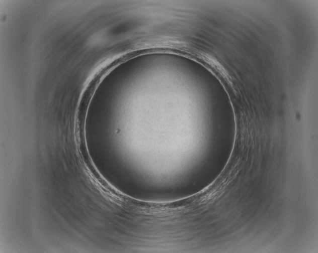 X0000067521072200604101321