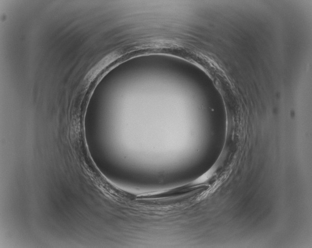 X0000067521073200604101320