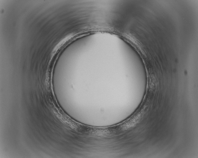 X0000067521074200604101320