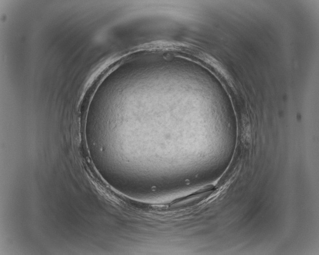 X0000067521075200604101320