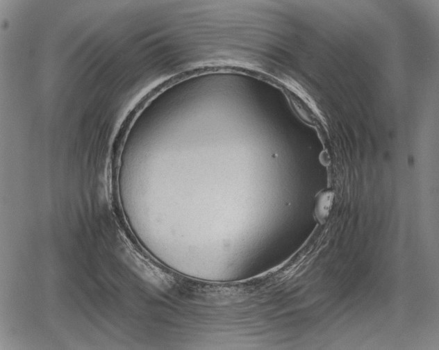 X0000067521076200604101320