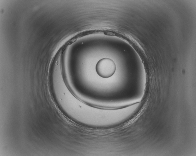 X0000067521077200604101320