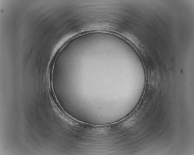 X0000067521078200604101320