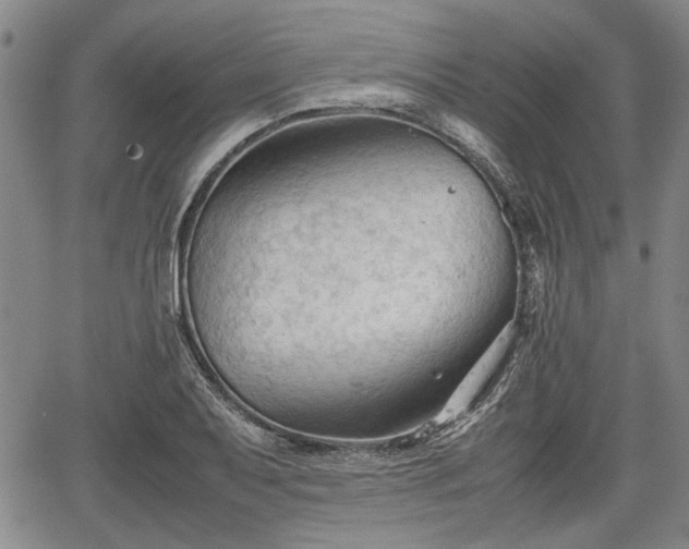 X0000067521079200604101320