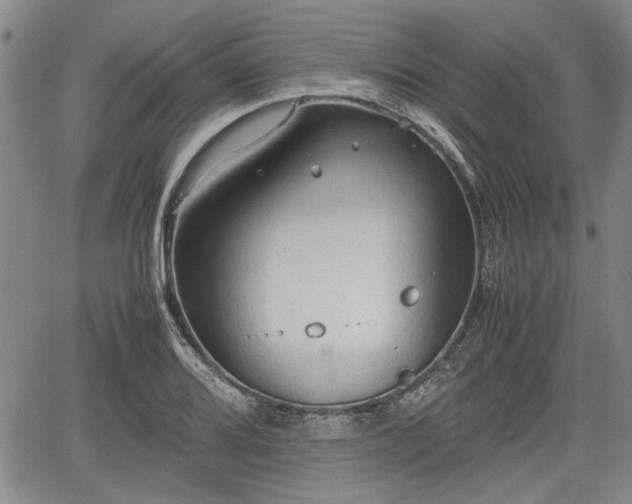 X0000067521080200604101320