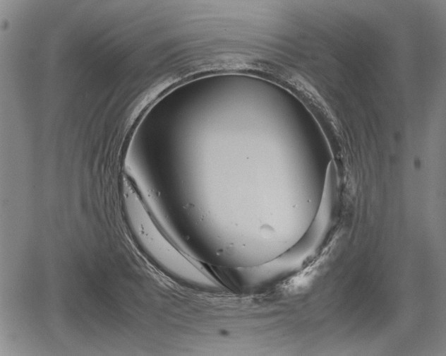 X0000067521081200604101320