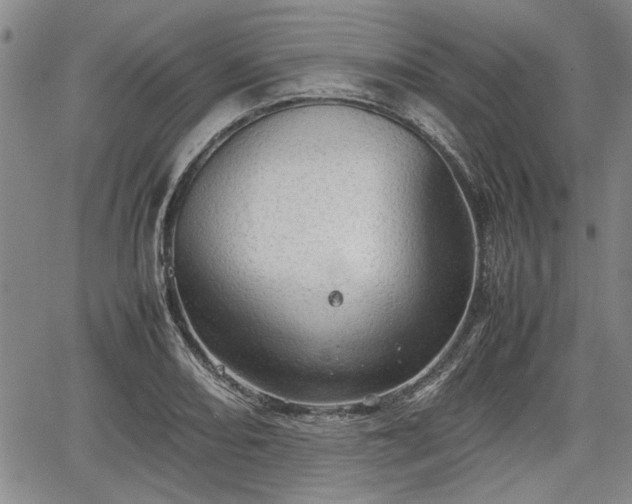 X0000067521082200604101320