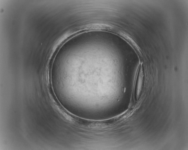 X0000067521083200604101320