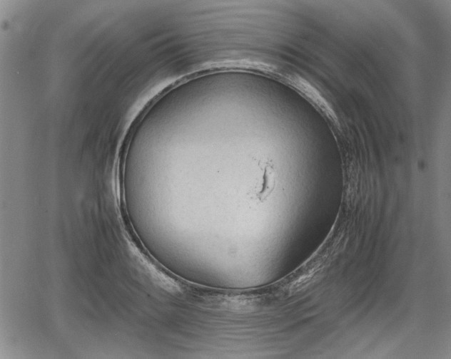 X0000067521084200604101320