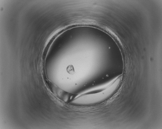 X0000067521085200604101320