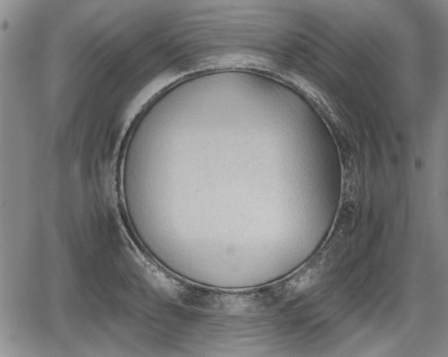 X0000067521086200604101320