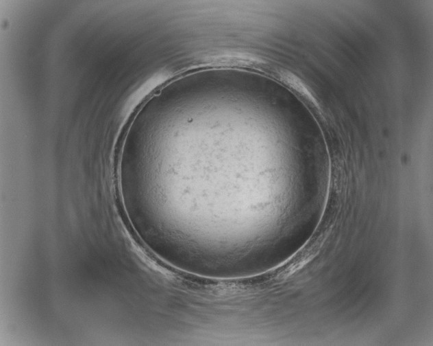 X0000067521087200604101320