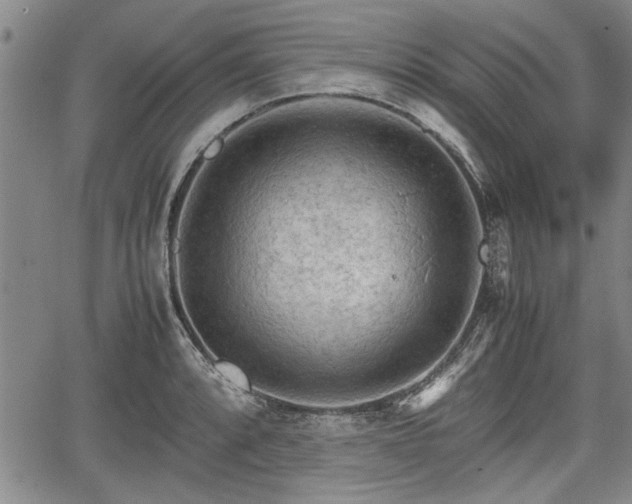 X0000067521088200604101320