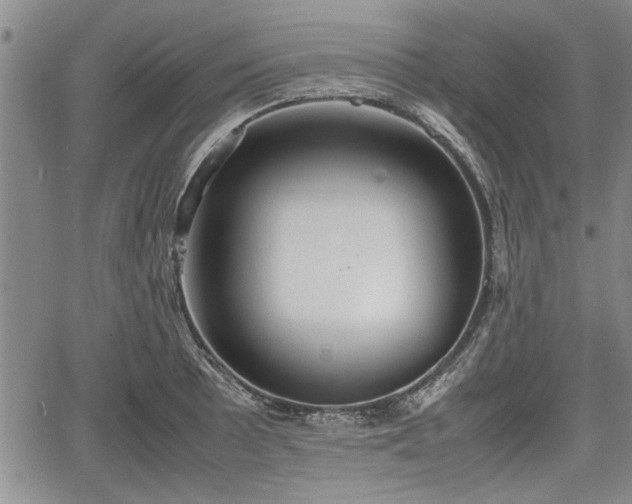 X0000067521089200604101320