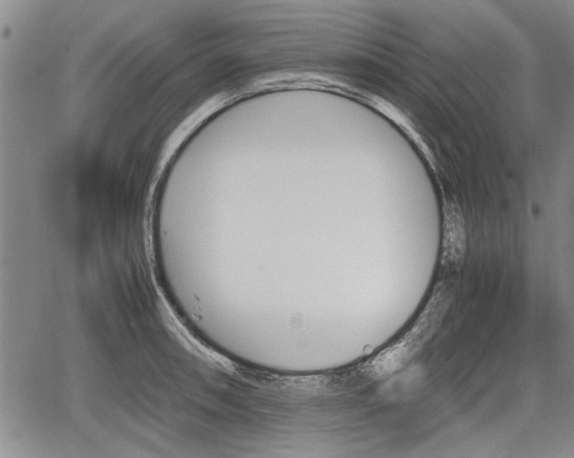 X0000067521090200604101320