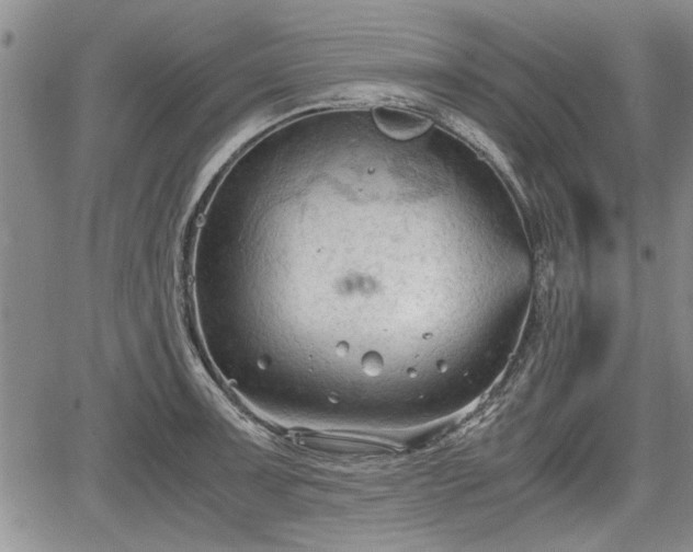 X0000067521091200604101320