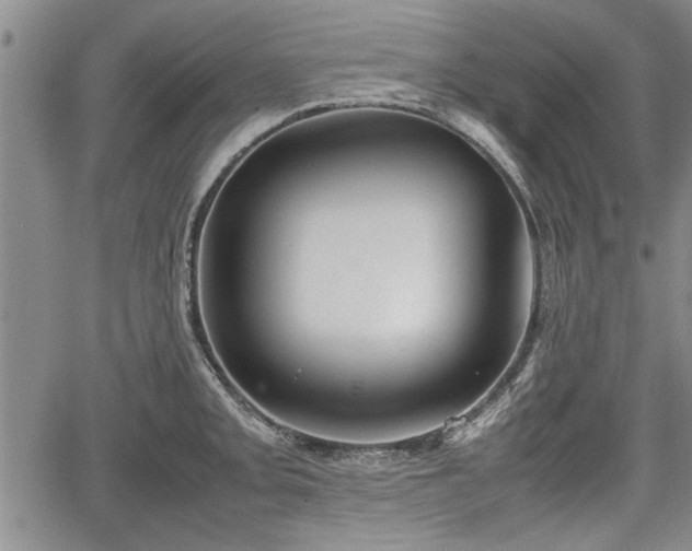 X0000067521093200604101320