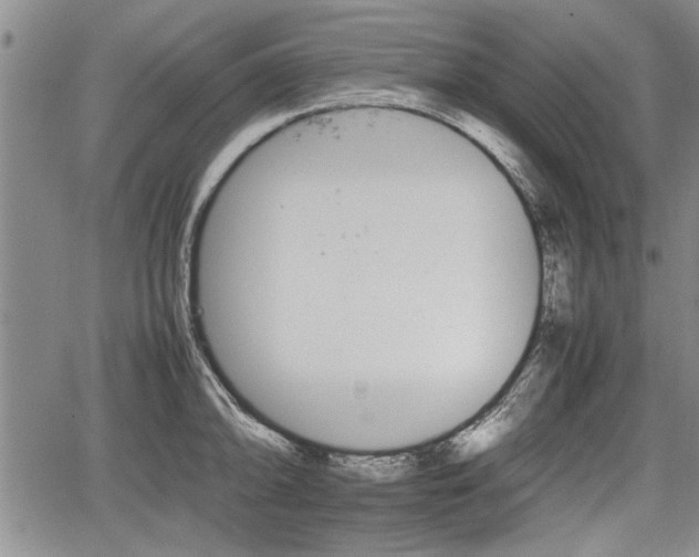 X0000067521094200604101320