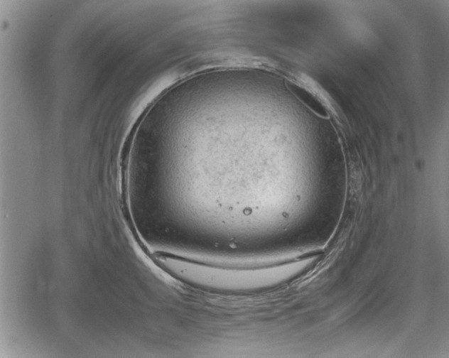 X0000067521095200604101320