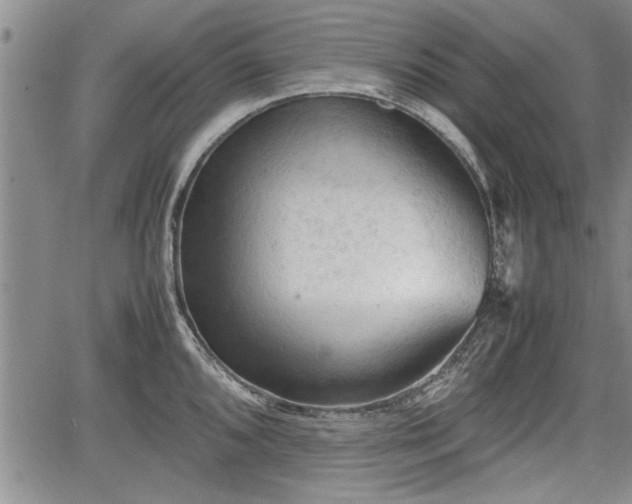 X0000067521096200604101320