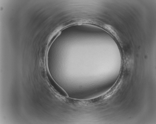 X0000067521097200604101320