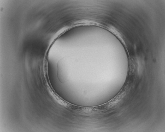 X0000067521098200604101320