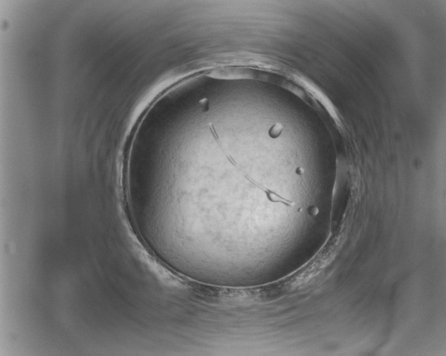 X0000067521099200604101320