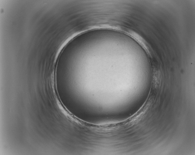 X0000067521100200604101320