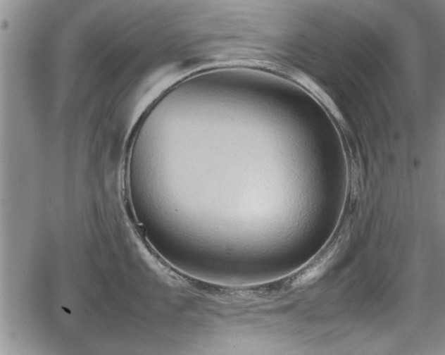 X0000067521101200604101320