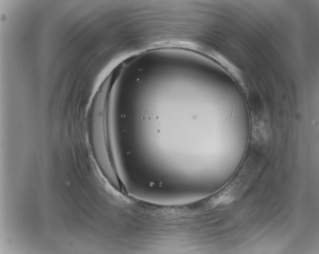 X0000067521102200604101320