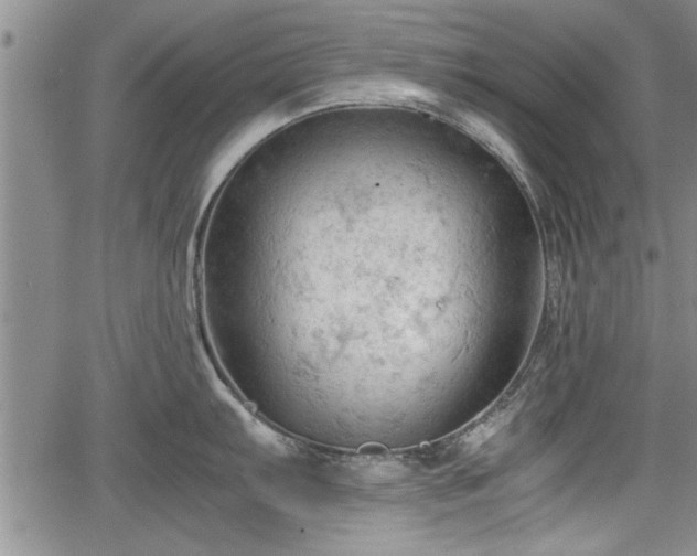 X0000067521103200604101320