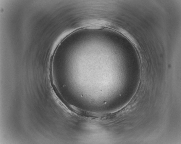 X0000067521104200604101320