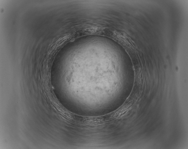 X0000067521105200604101319