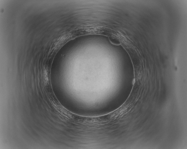 X0000067521106200604101319